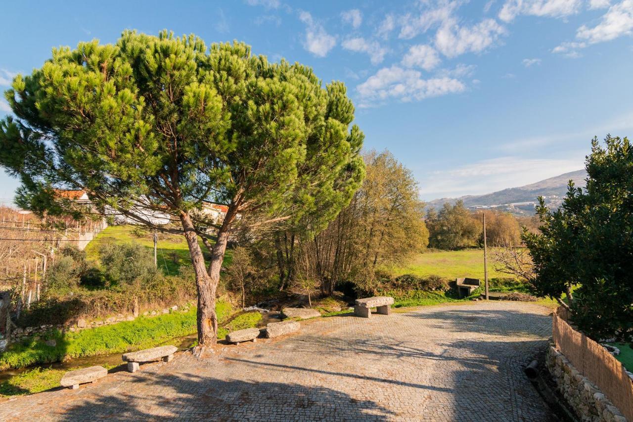 Casa Do Loureiro 1 - Seia - Serra Da Estrela Kültér fotó