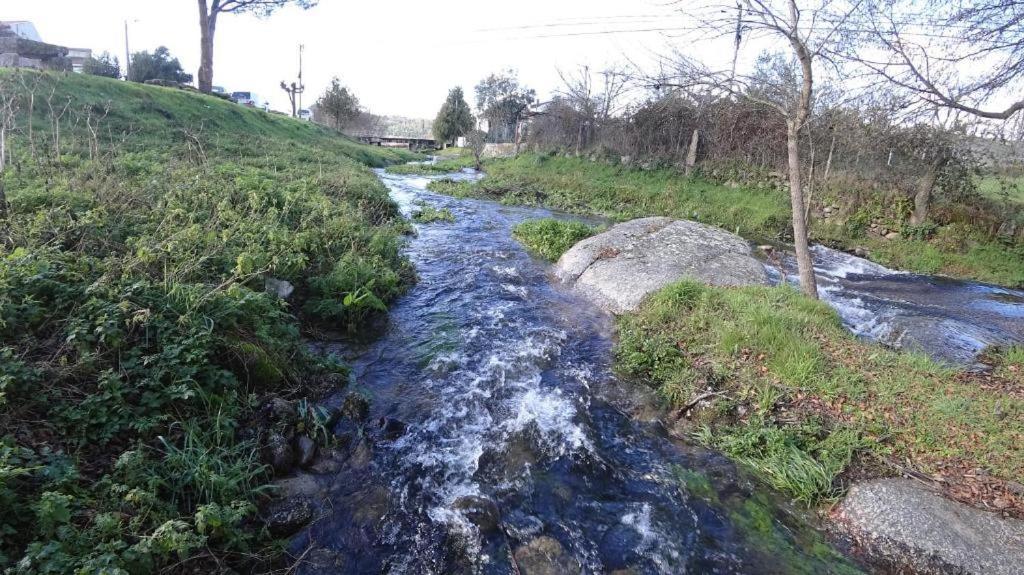 Casa Do Loureiro 1 - Seia - Serra Da Estrela Kültér fotó